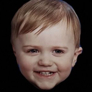 Meet your Posher, Harry